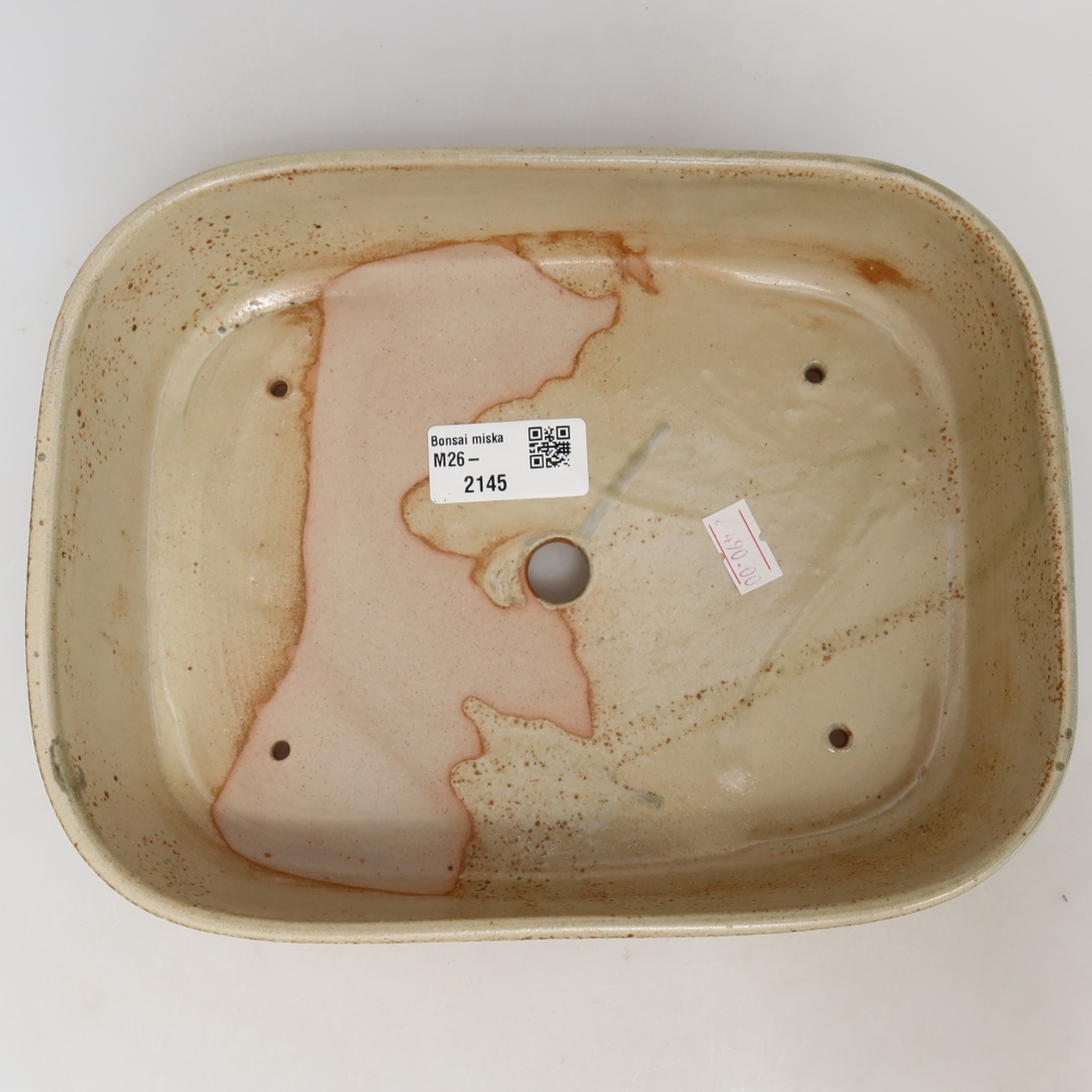 Ceramiczna miska do bonsai 23 x 18 x 5,5 cm, kolor beżowy