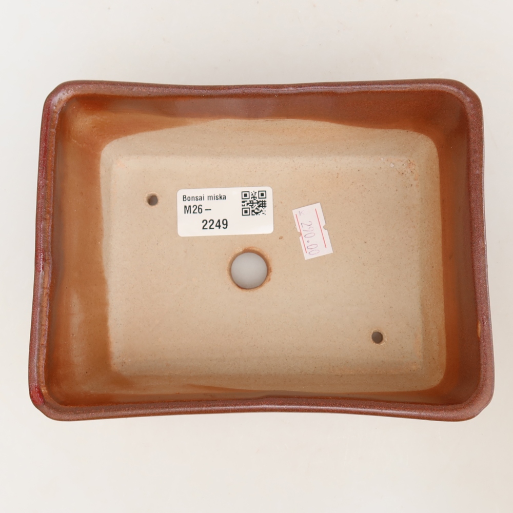 Ceramiczna miska do bonsai 16 x 12 x 6 cm, bordowa