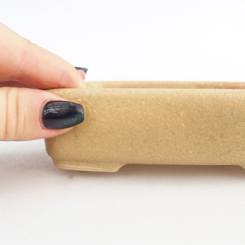 Ceramiczna miska do bonsai 12,5 x 9,5 x 3,5 cm, kolor beżowy