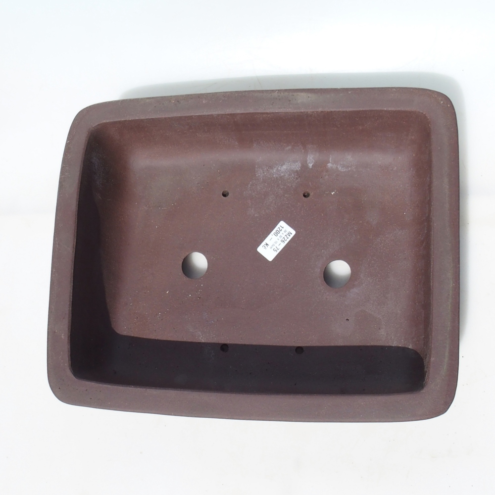 Misa bonsai 39 x 32 x 10,5 cm brzoza brązowa