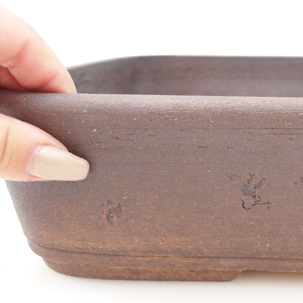 Misa bonsai 30 x 24 x 8 cm, kolor brązowy