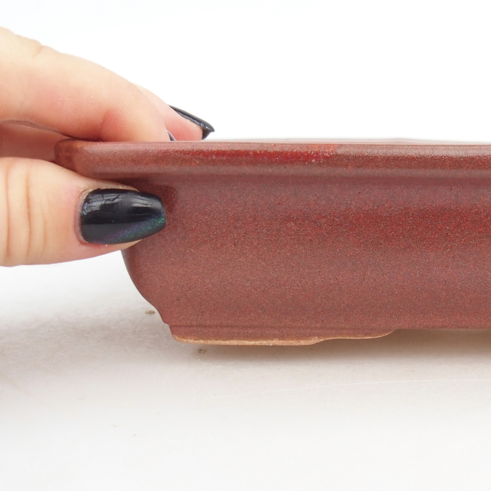 Ceramiczna miska do bonsai 18 x 13,5 x 4,5 cm, bordowa