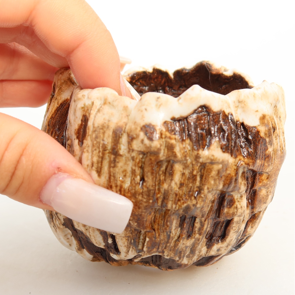 Ceramiczna skorupka  7,5 x 7 x 6,5 cm, kolor biało-brązowy