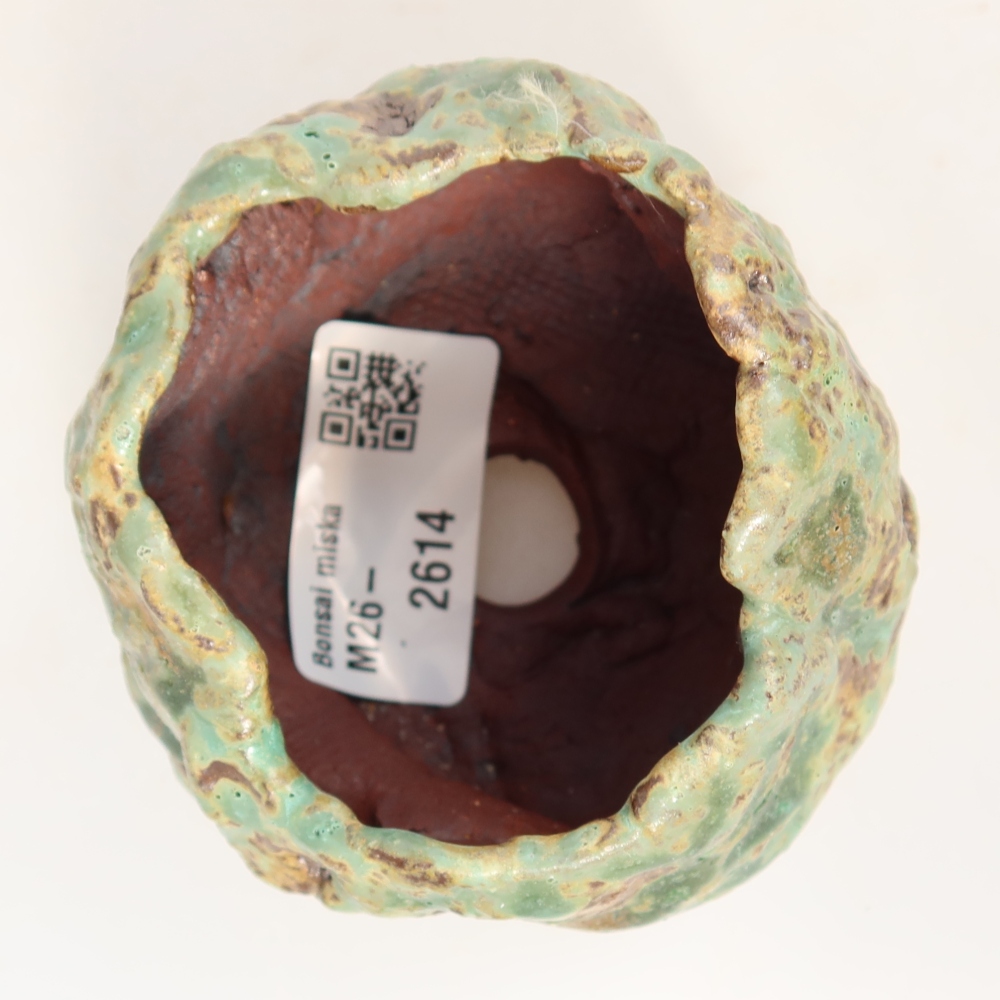 Ceramiczna skorupka  7,5 x 6,5 x 6,5 cm, kolor zielony