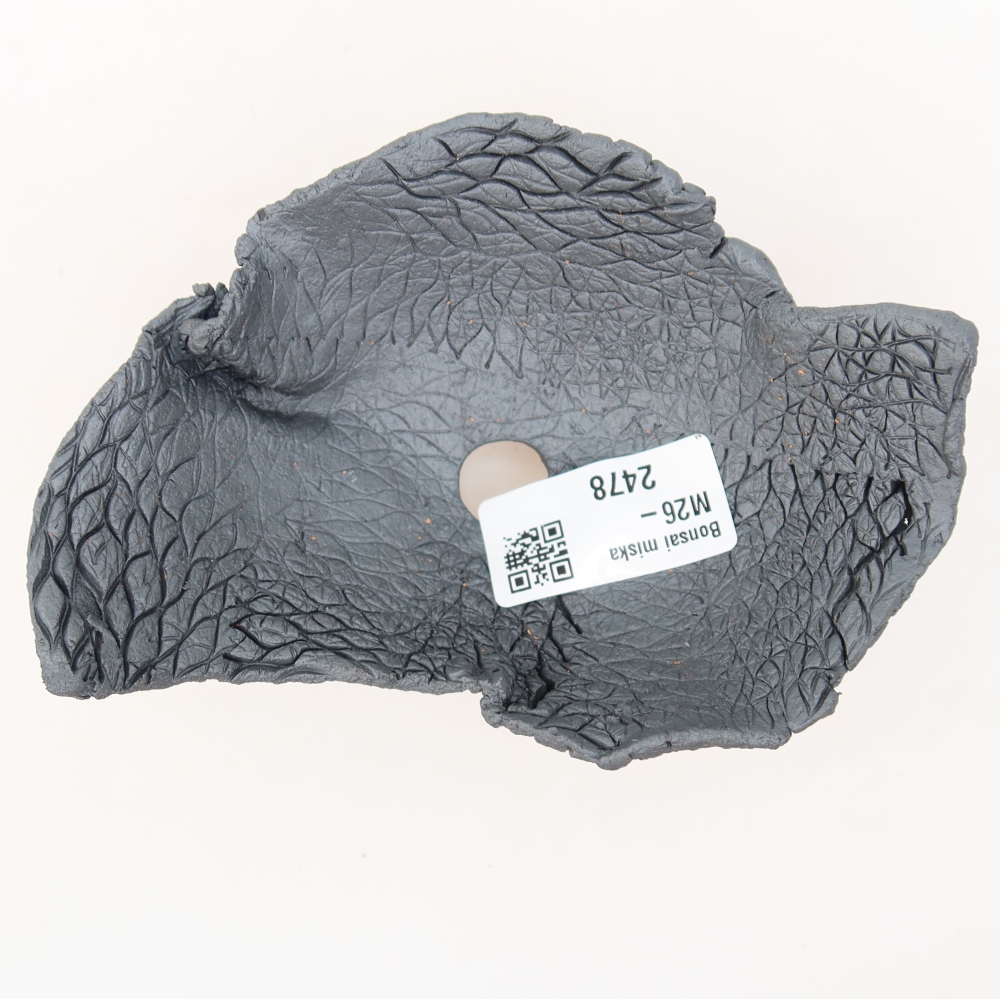 Ceramiczna skorupa  13,5 x 9,5 x 6 cm, kolor metaliczny