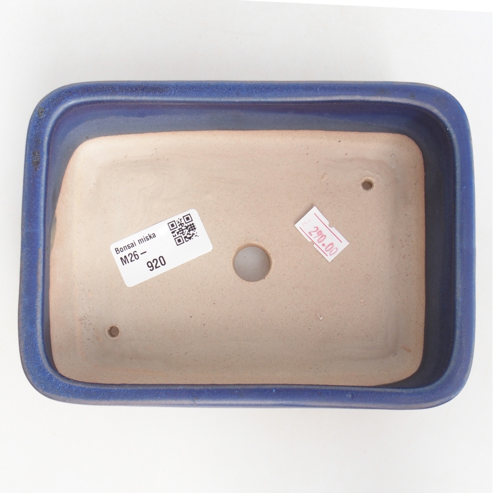 Ceramiczna miska do bonsai 16,5 x 12 x 5,5 cm, kolor niebieski