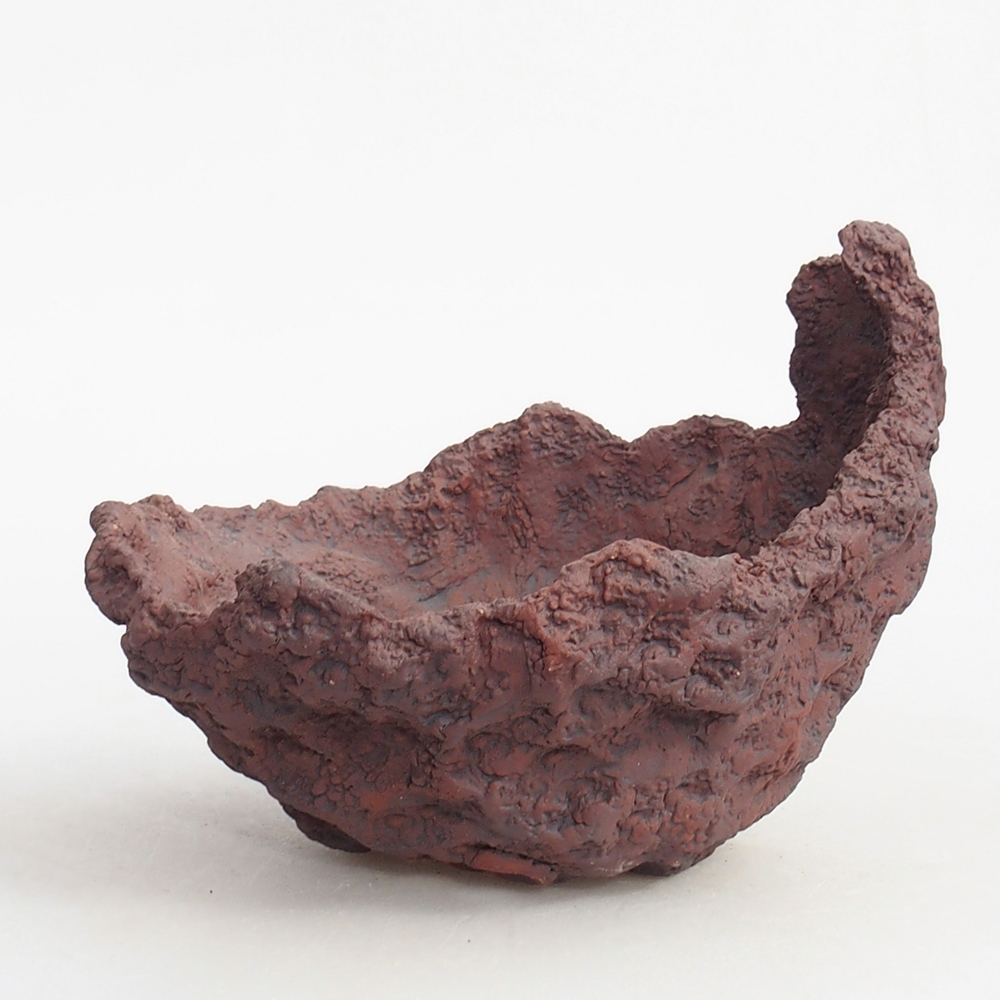 Ceramiczna muszla 13 x 11 x 12 cm, kolor brązowy