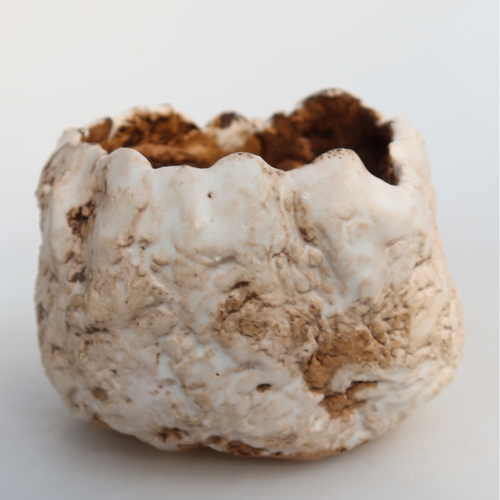 Ceramiczna skorupa  7 x 7 x 6 cm, kolor biało-brązowy
