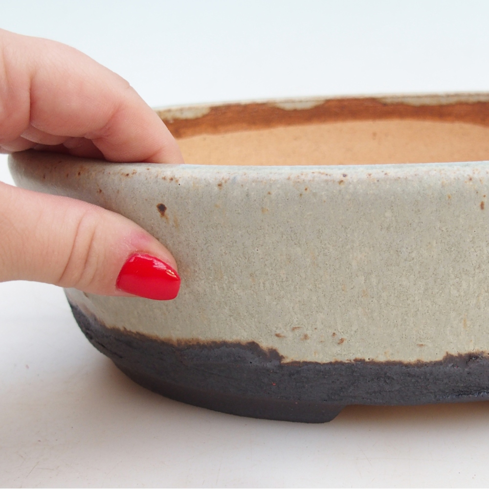 Misa do bonsai 26,5 x 21 x 7 cm, kolor beżowy