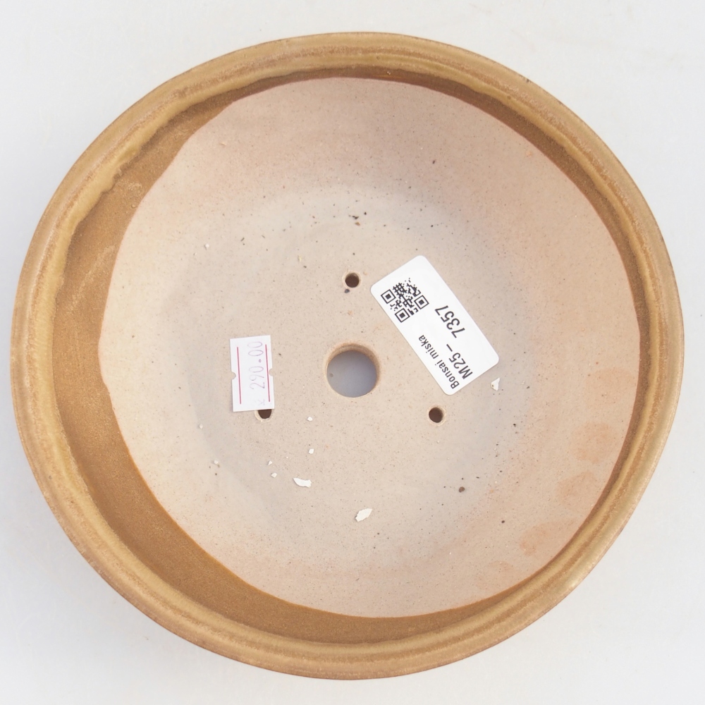 Ceramiczna miska do bonsai 17,5 x 17,5 x 5 cm, kolor beżowy