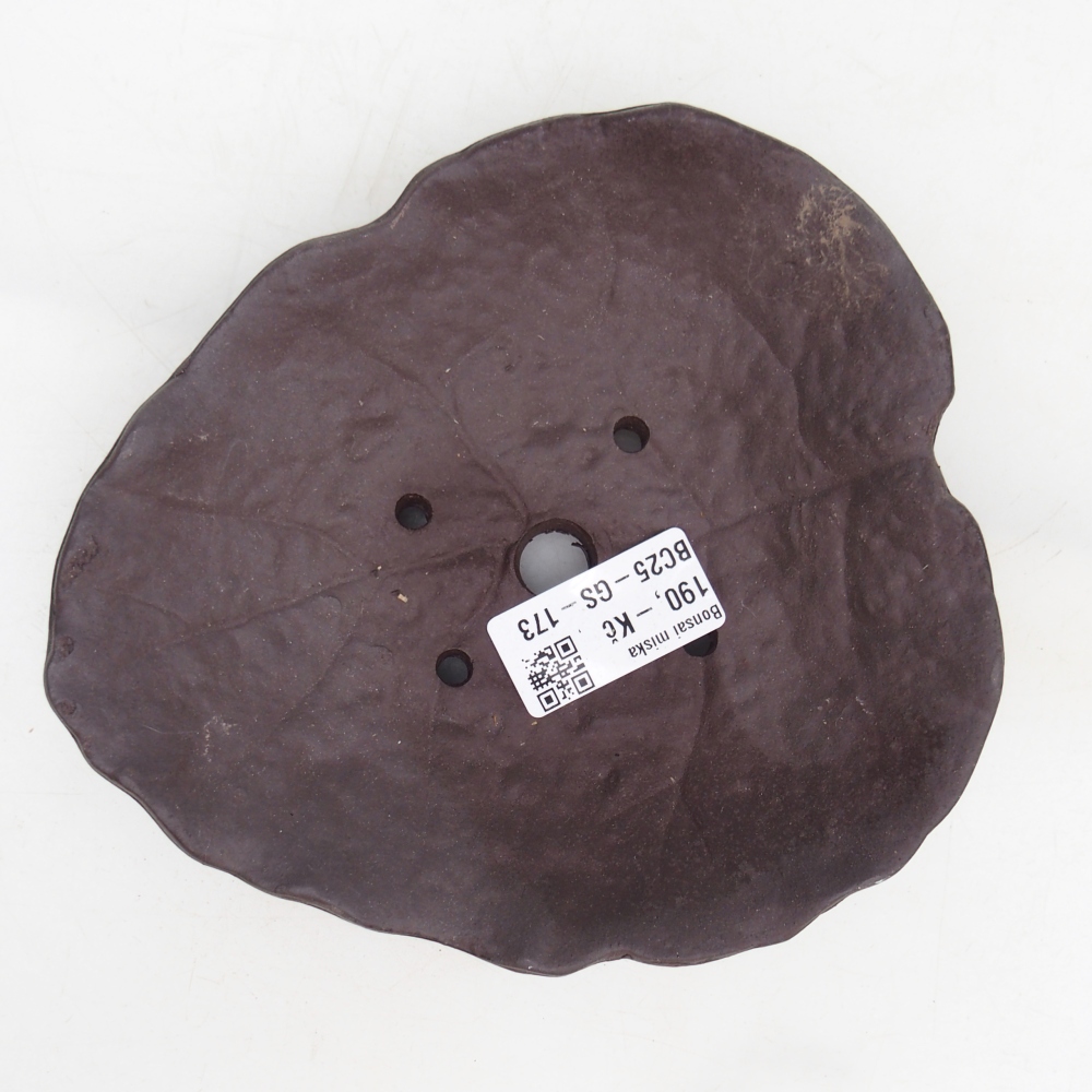 Muszla ceramiczna 16 x 14,5 x 4 cm, kolor brązowy