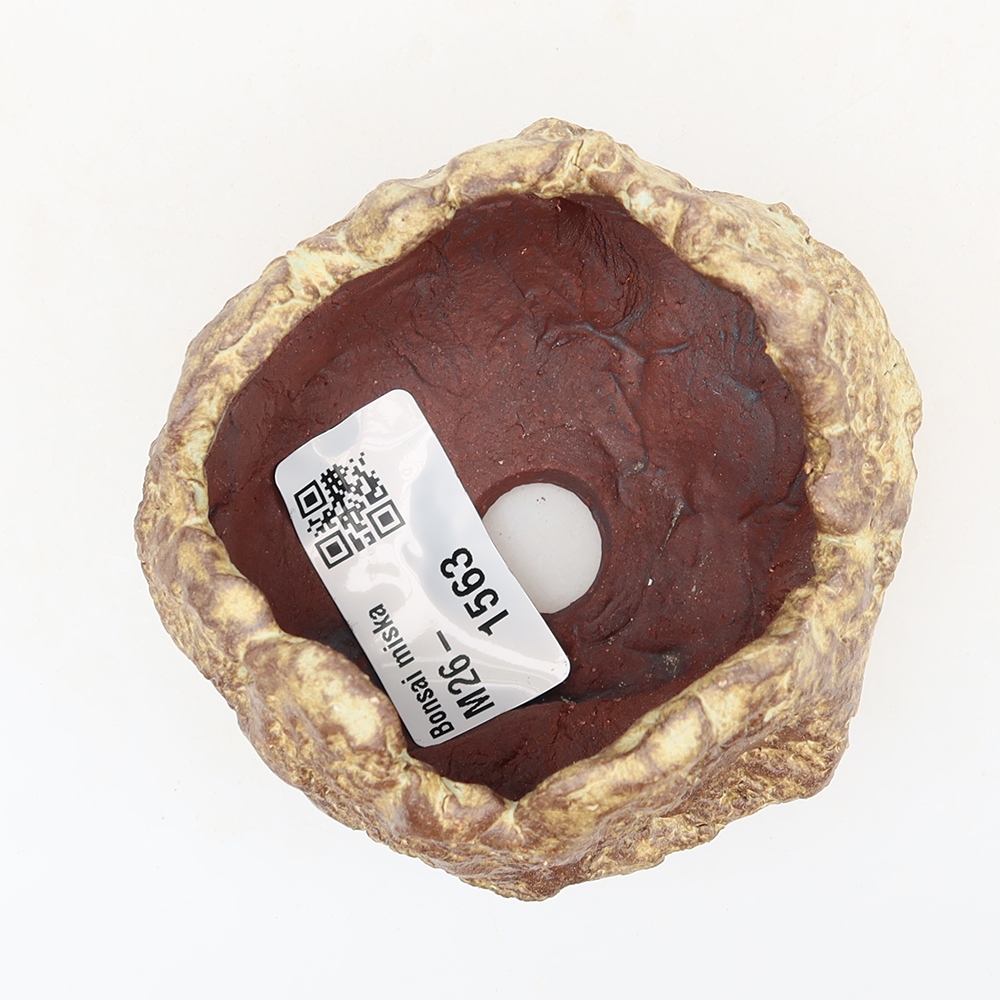 Ceramiczna skorupka  6 x 5 x 5,5 cm, kolor brązowy