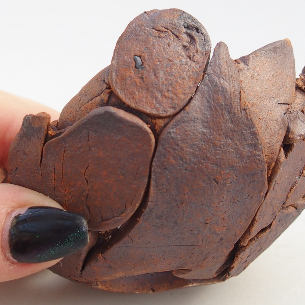 Ceramiczna skorupa 8,5 x 8,5 x 5,5 cm, kolor brązowy