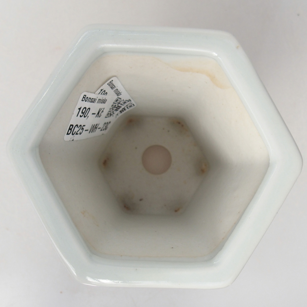 Ceramiczna miska do bonsai 10 x 9 x 9 cm, kolor biały