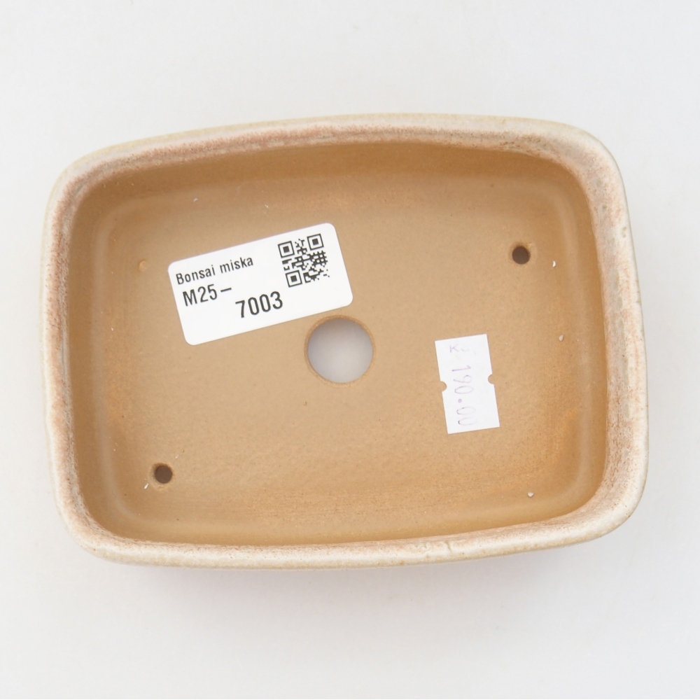 Ceramiczna miska do bonsai 13 x 9,5 x 3,5 cm, kolor beżowy