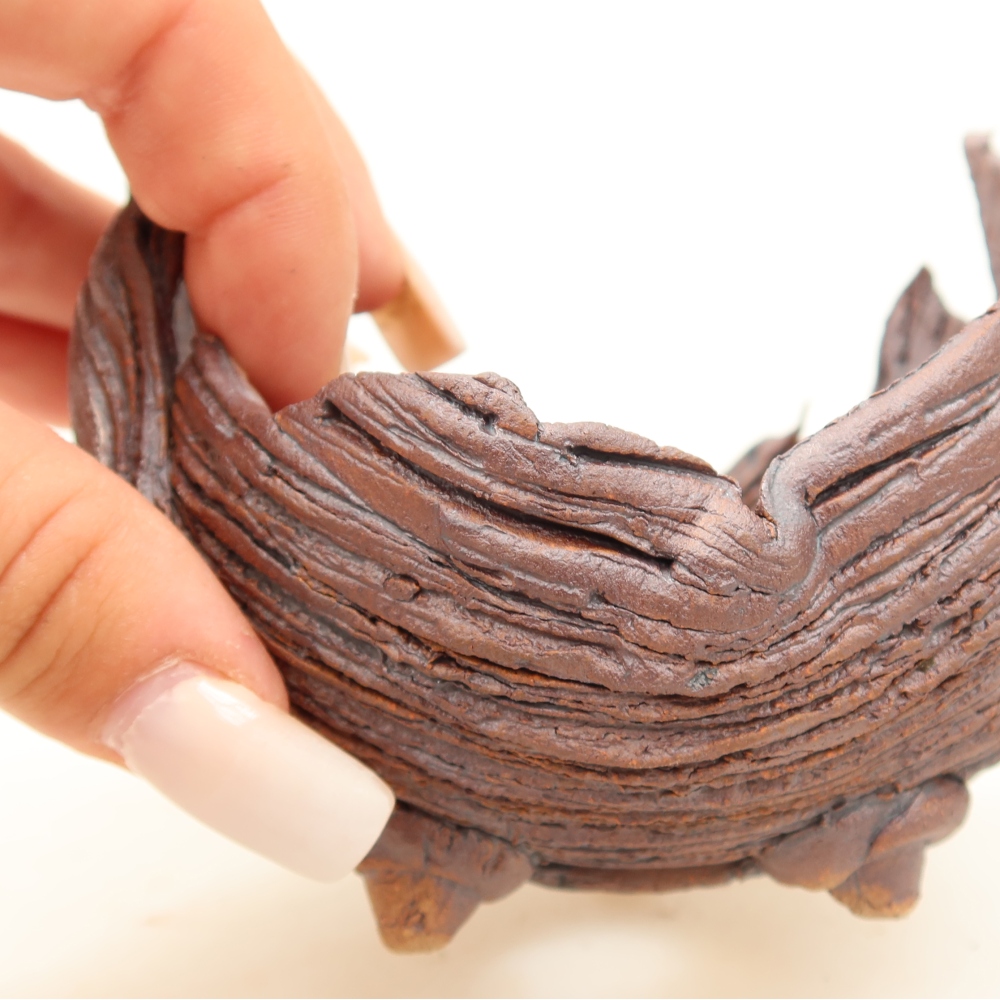 Ceramiczna skorupa  9,5 x 8,5 x 8 cm, kolor brązowy