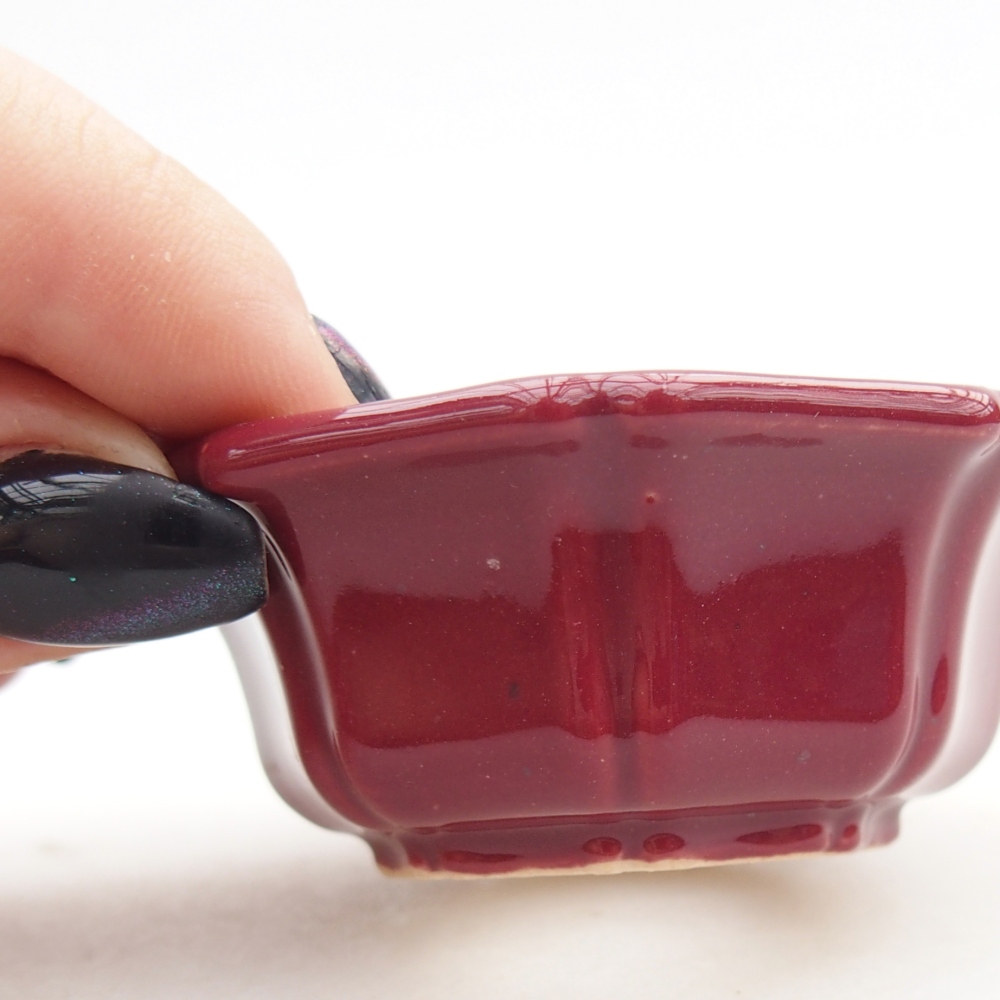 Mini miska do bonsai 6 x 6 x 2,5 cm, bordowa