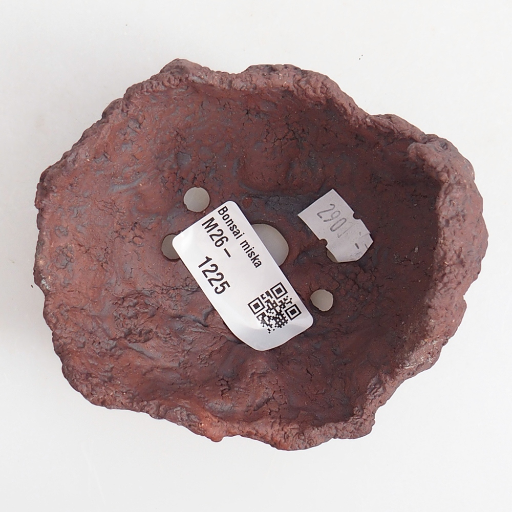 Ceramiczna muszla 9 x 7,5 x 9 cm, kolor brązowy