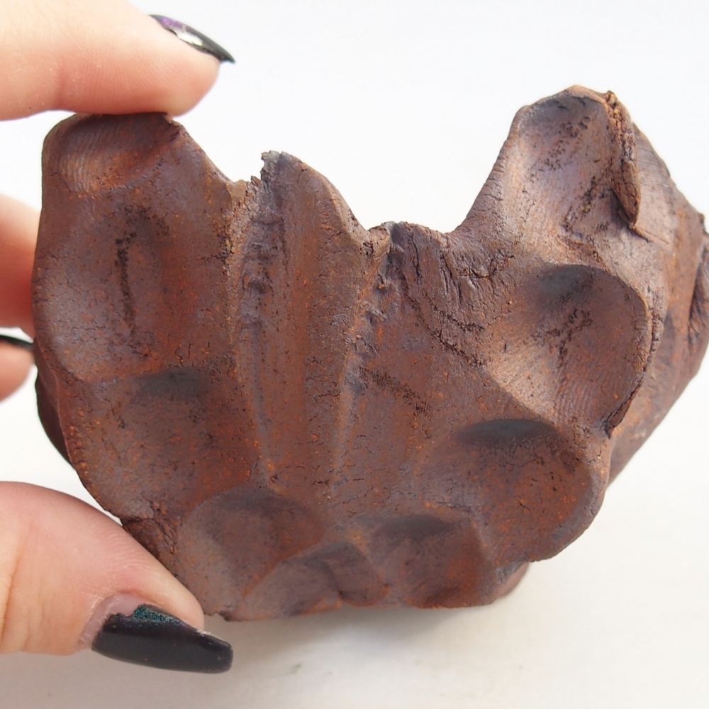 Muszla ceramiczna 9 x 9 x 6,5 cm, kolor brązowy