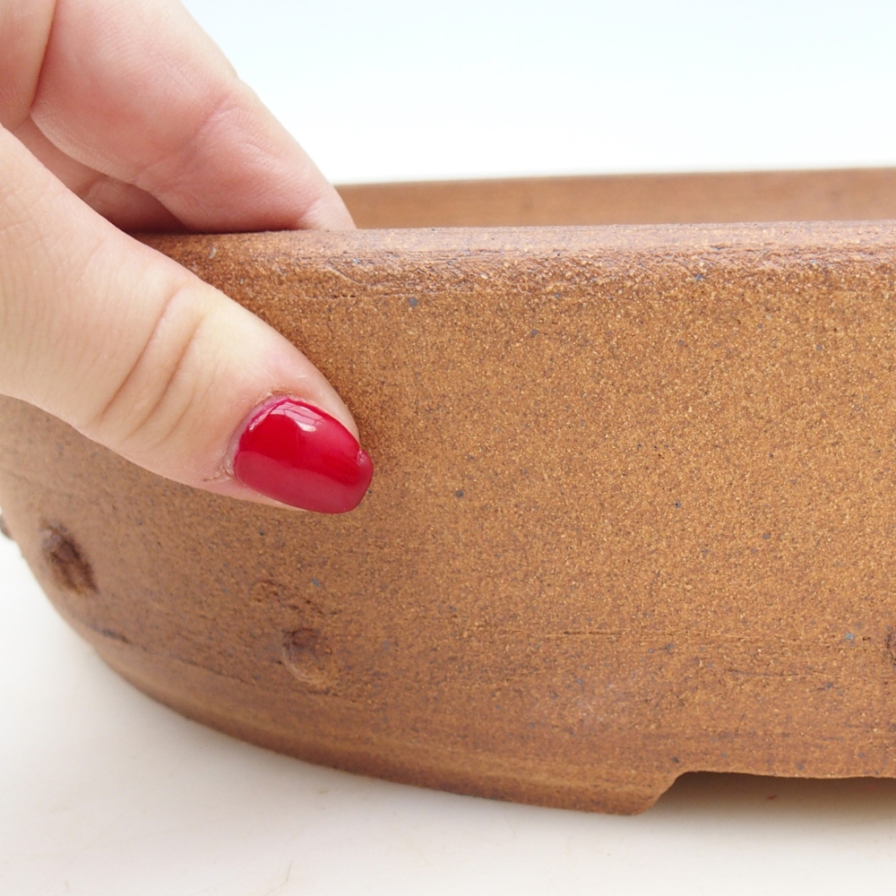 Misa bonsai 34 x 34 x 7 cm, kolor brązowy