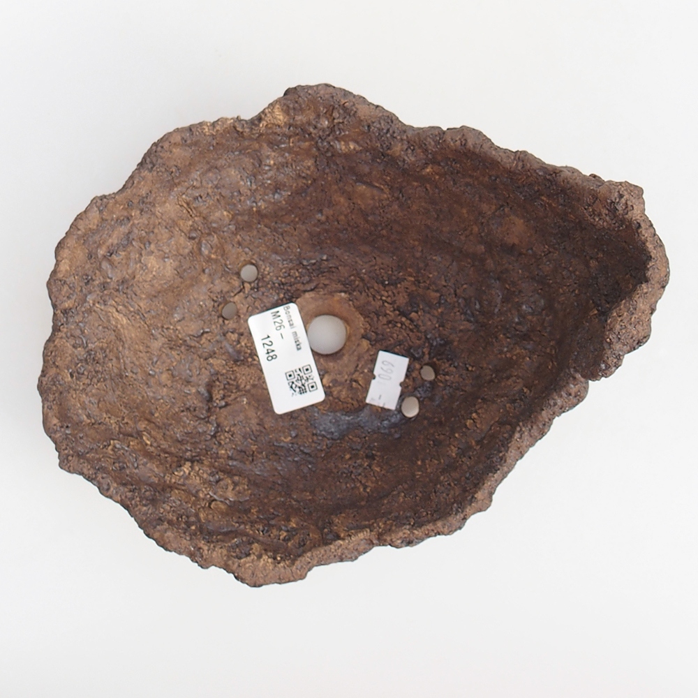 Ceramiczna skorupa 19 x 15 x 14 cm, kolor brązowy