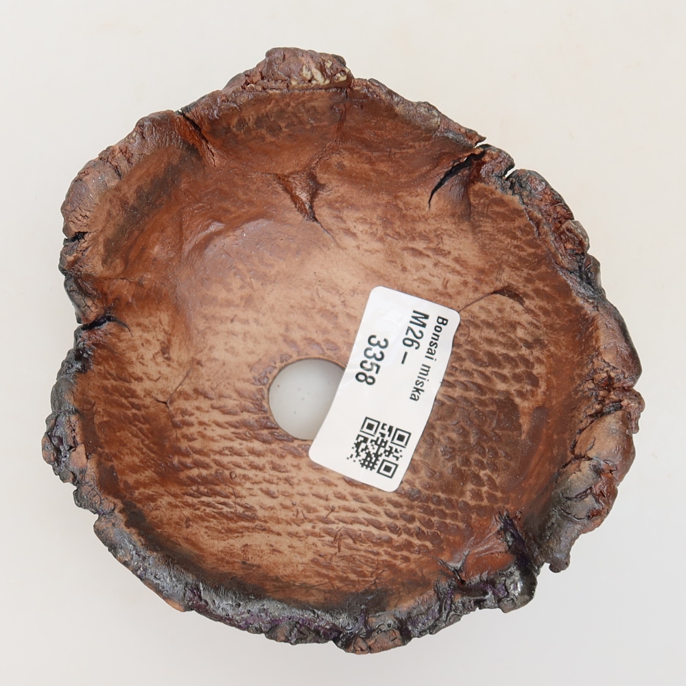 Ceramiczna skorupa  10,5 x 10,5 x 6 cm, kolor brązowy