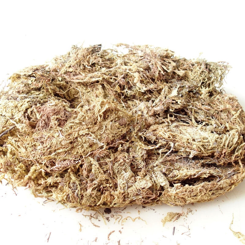 Bryophyta - mech 5 kg