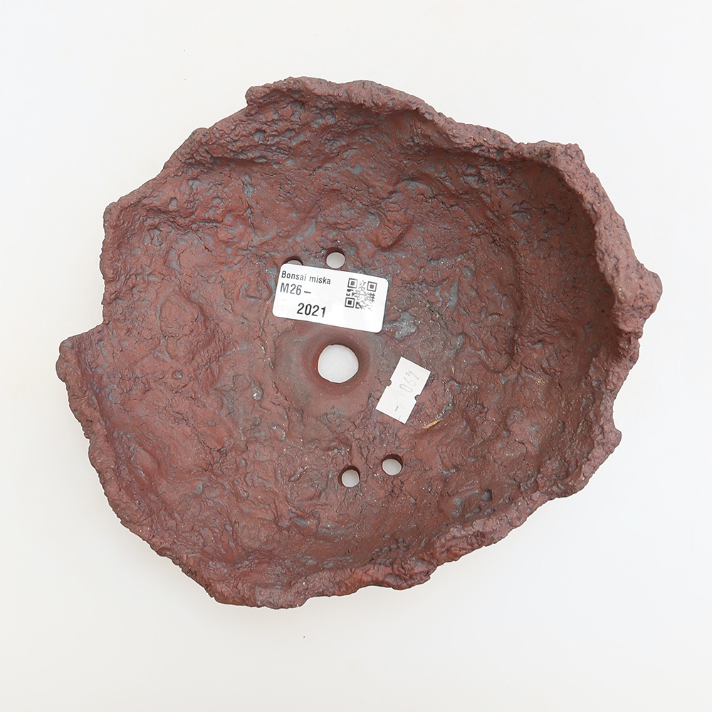 Ceramiczna skorupa 15 x 15 x 10,5 cm, kolor brązowy