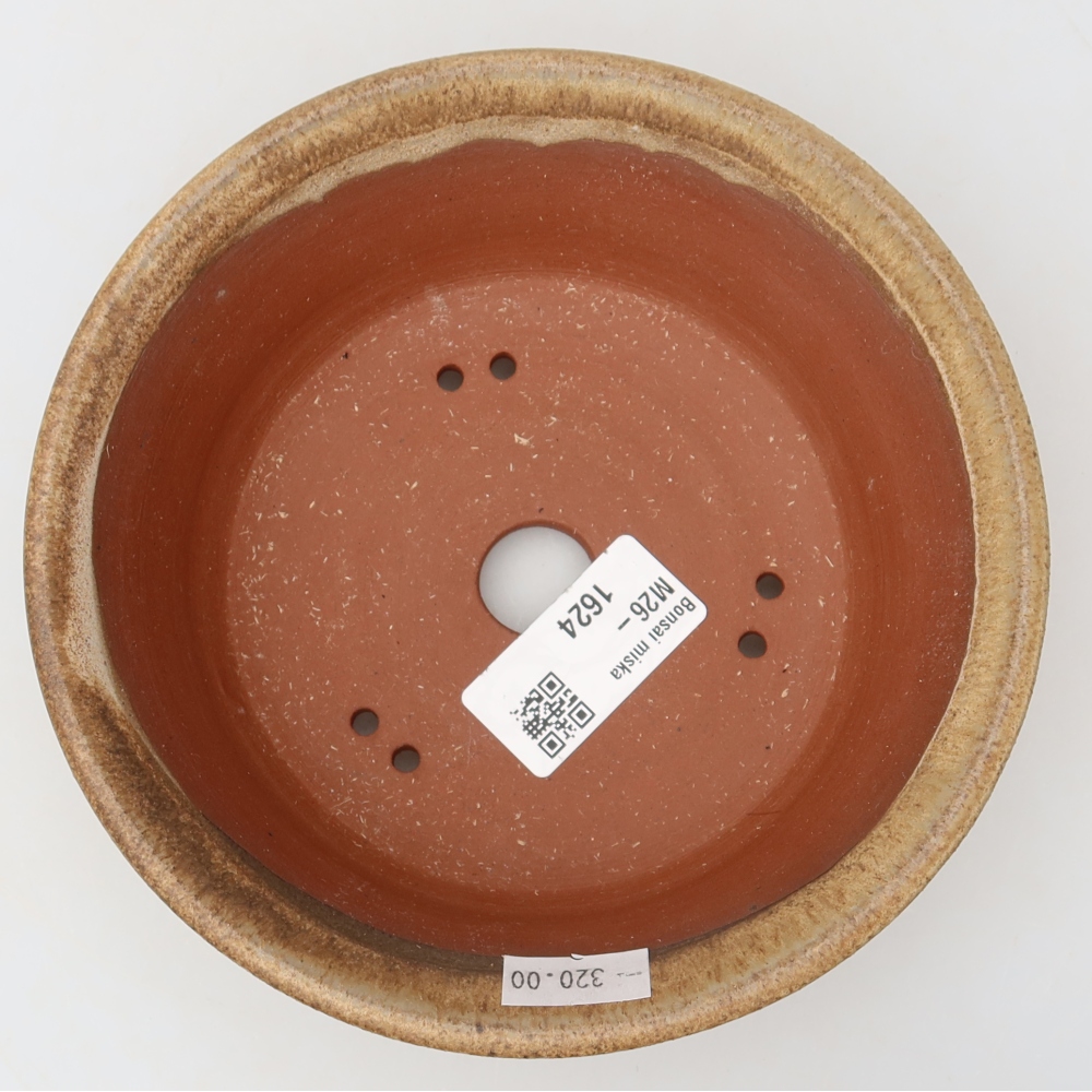 Ceramiczna miska do bonsai 15,5 x 15,5 x 5 cm, brązowa