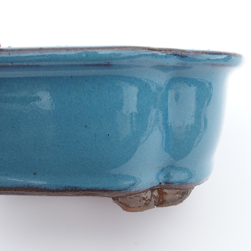 Miska 20 x 16 x 6,5 cm niebieska