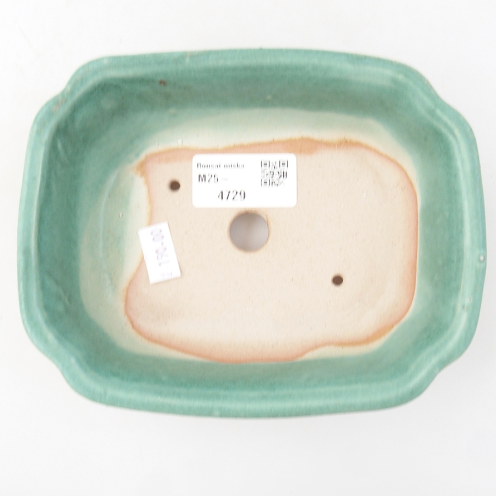Ceramiczna miska bonsai 16 x 12 x 5 cm, kolor zielony