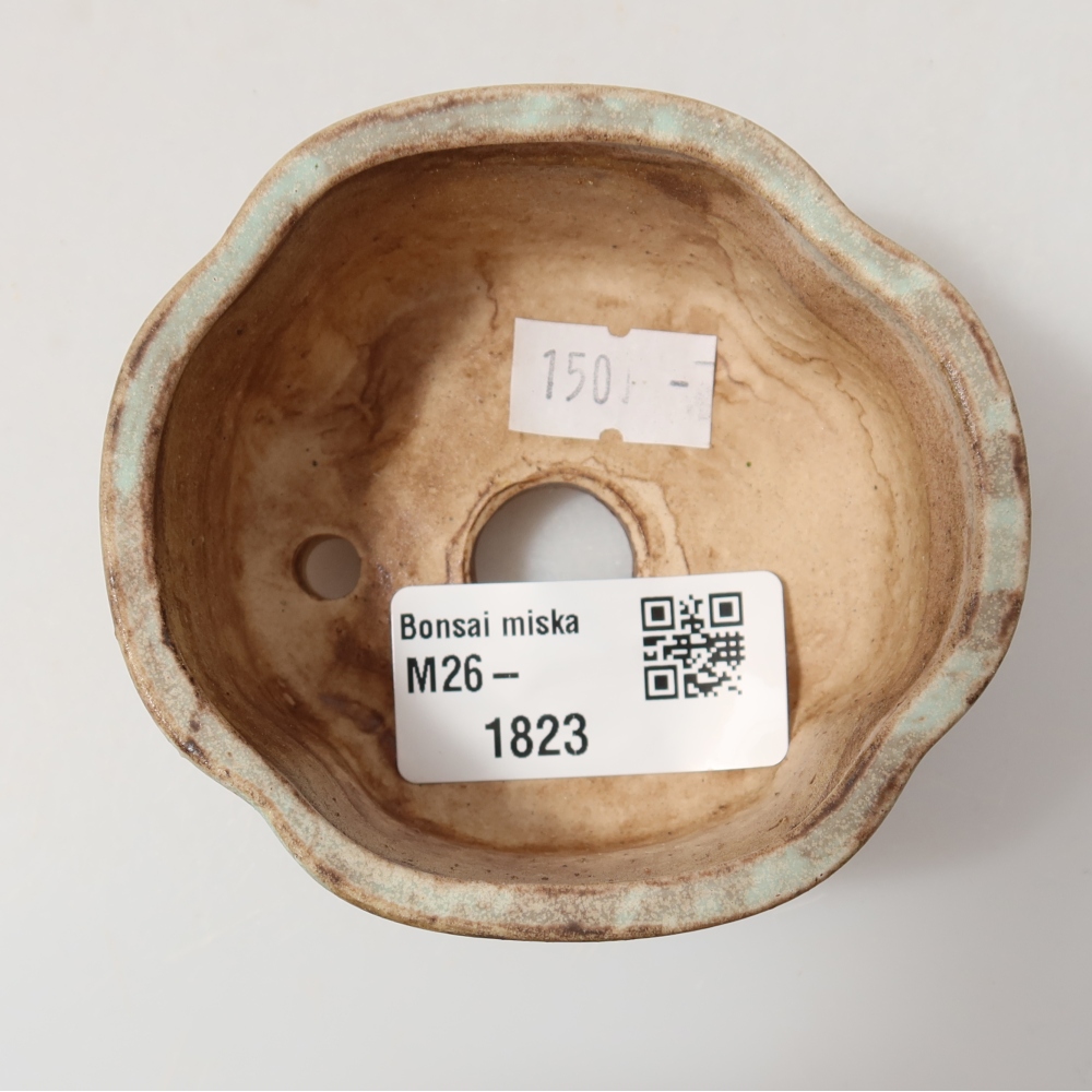 Ceramiczna miseczka do bonsai 8 x 7,5 x 3,5 cm, kolor zielony