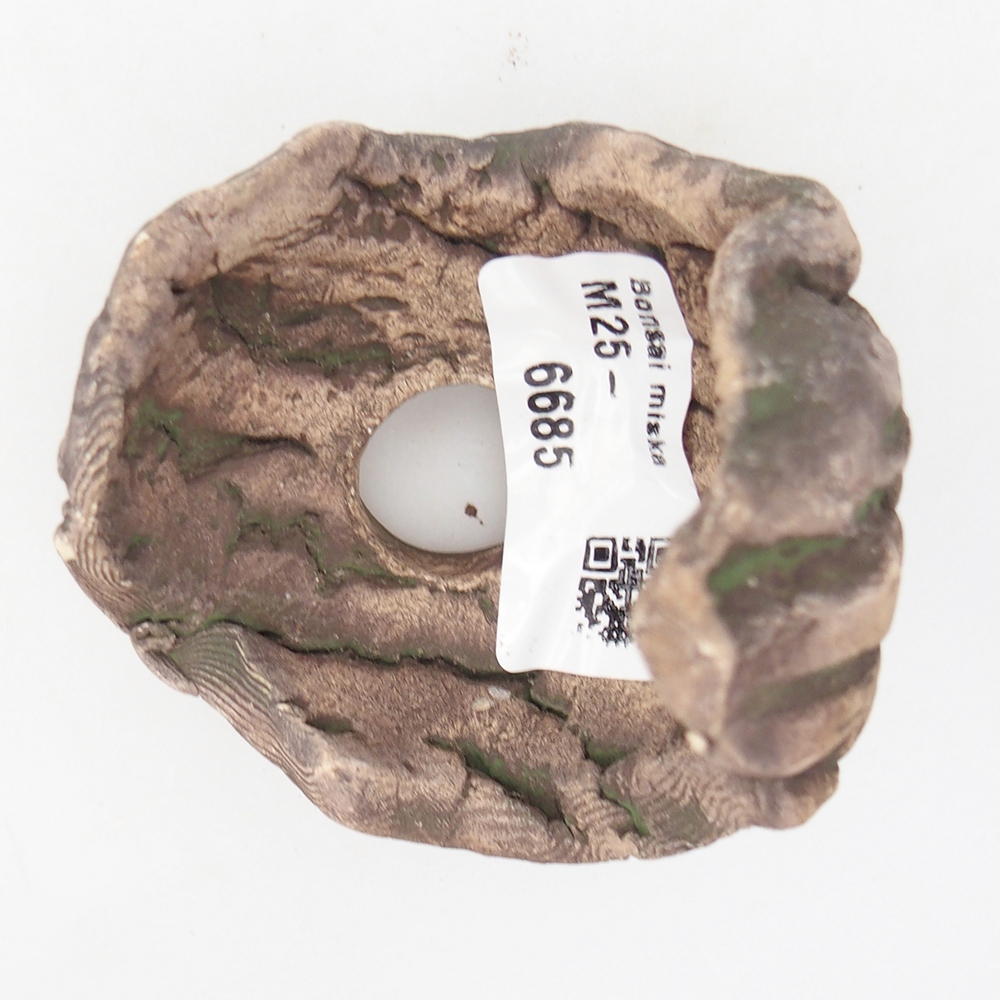 Ceramiczna muszla 6,5 x 6,5 x 8 cm, kolor zielony