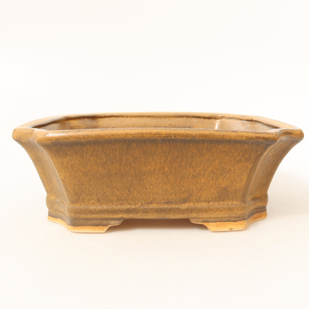 Ceramiczna miska do bonsai 18 x 15 x 6 cm, kolor brązowy