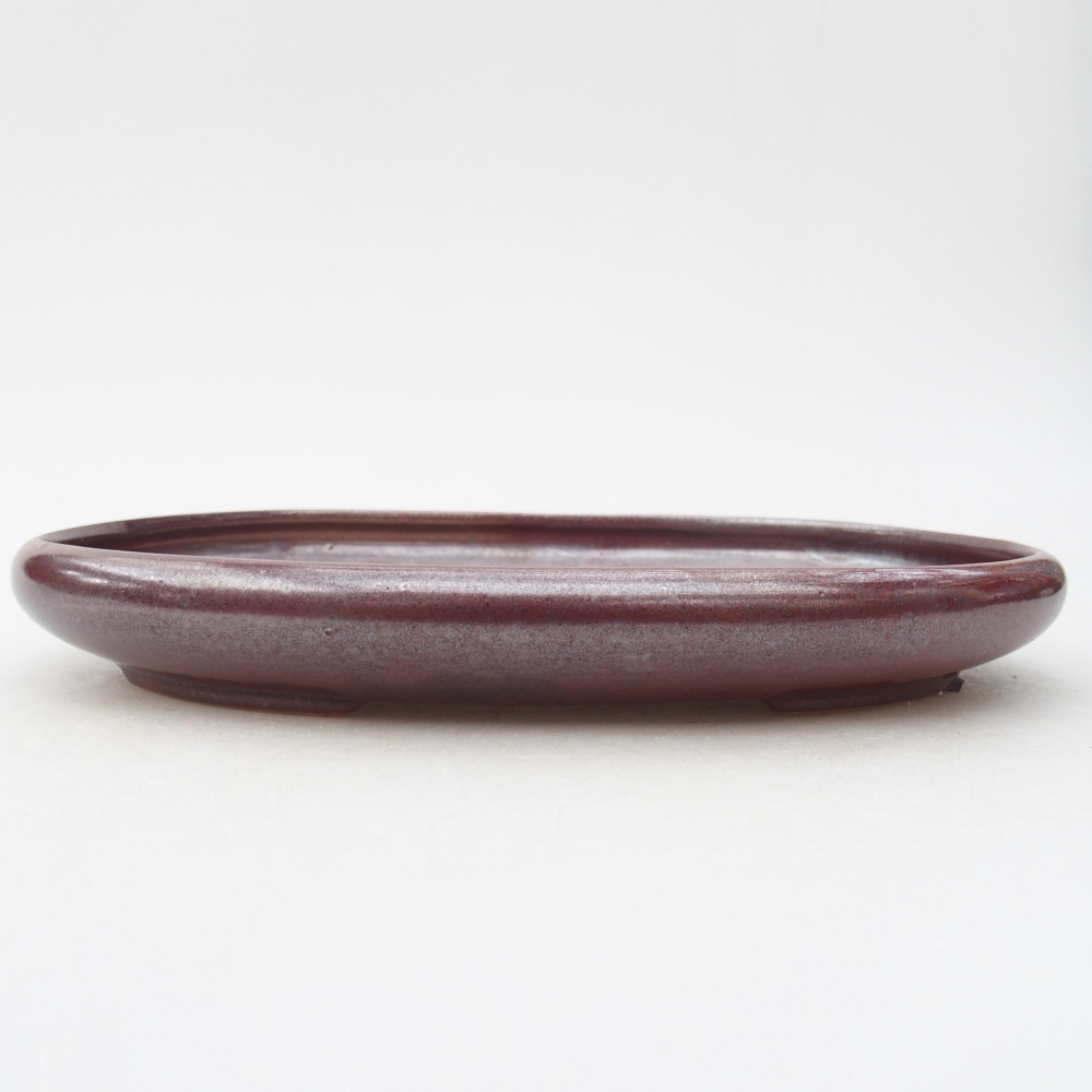 Ceramiczna miska do bonsai 22,5 x 16,5 x 3 cm, bordowa