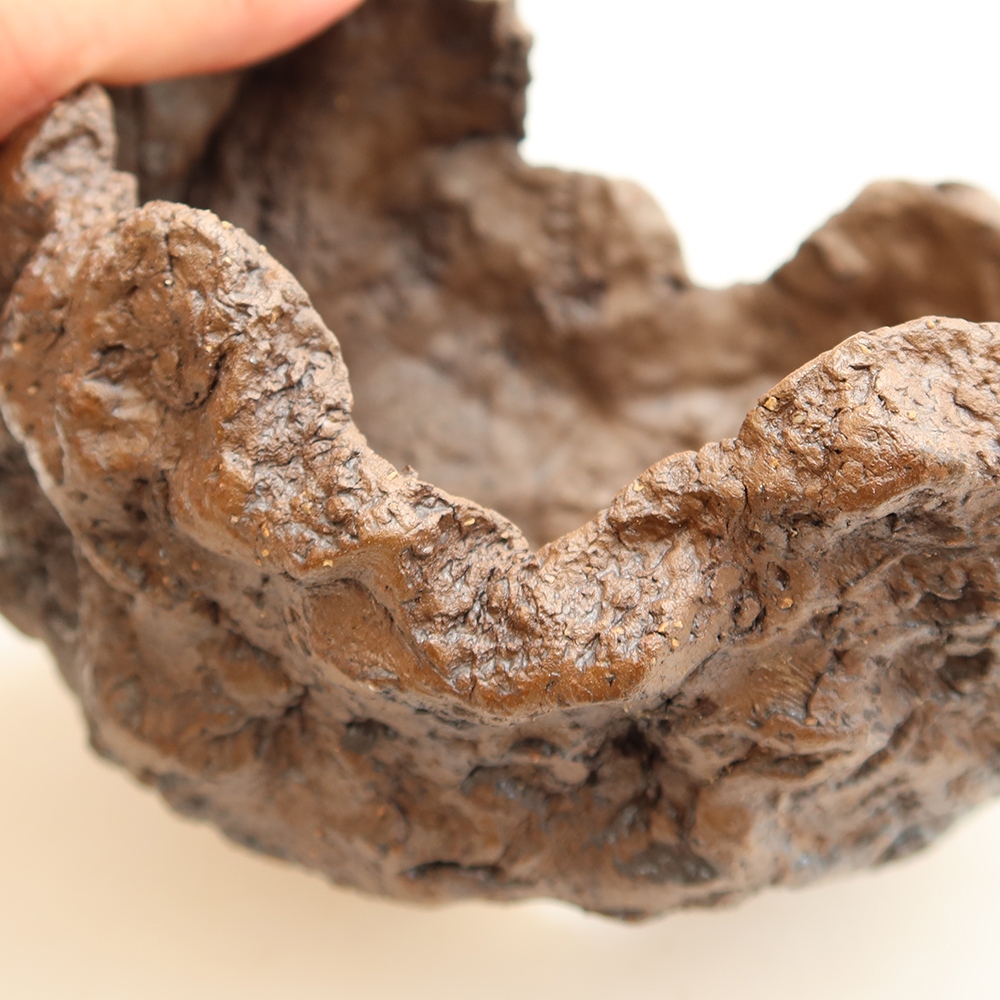 Ceramiczna skorupa 13,5 x 12 x 13 cm, kolor brązowy