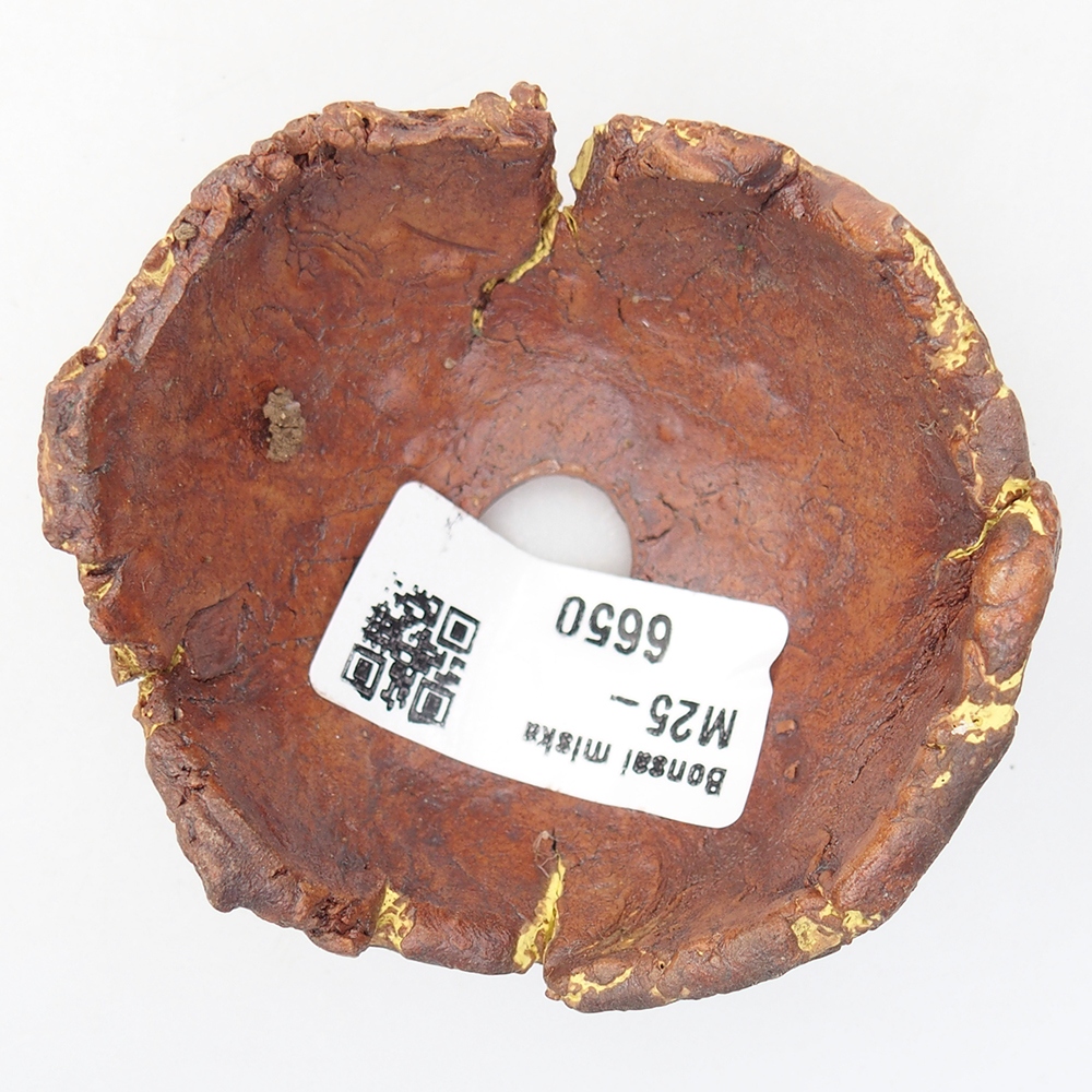 Ceramiczna muszla 7 x 6,5 x 4 cm, kolor żółty