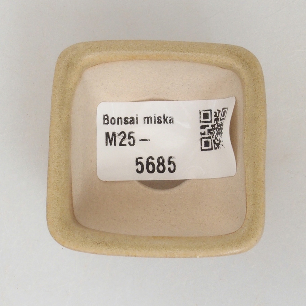 Mini miska bonsai 4,5 x 4,5 x 3 cm, kolor brązowy