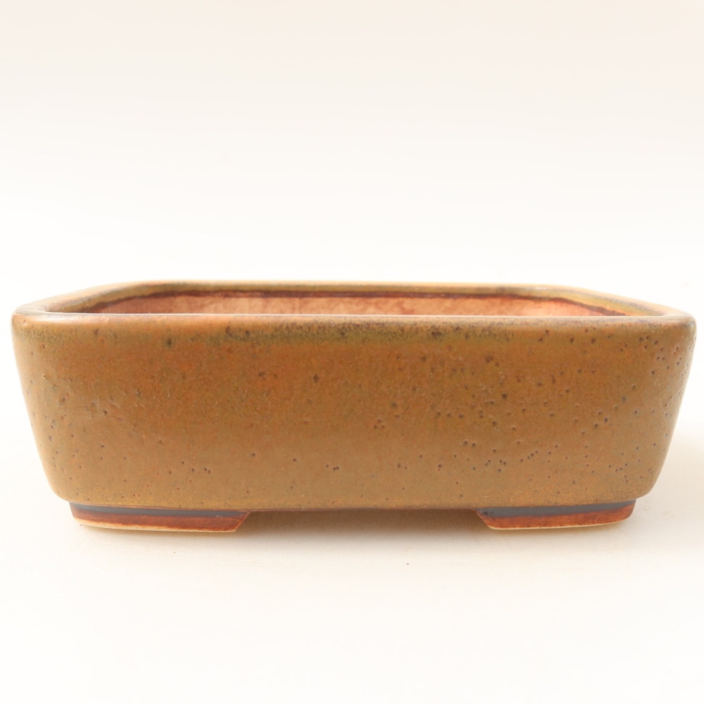 Ceramiczna miska do bonsai 14 x 11,5 x 4,5 cm, kolor brązowy