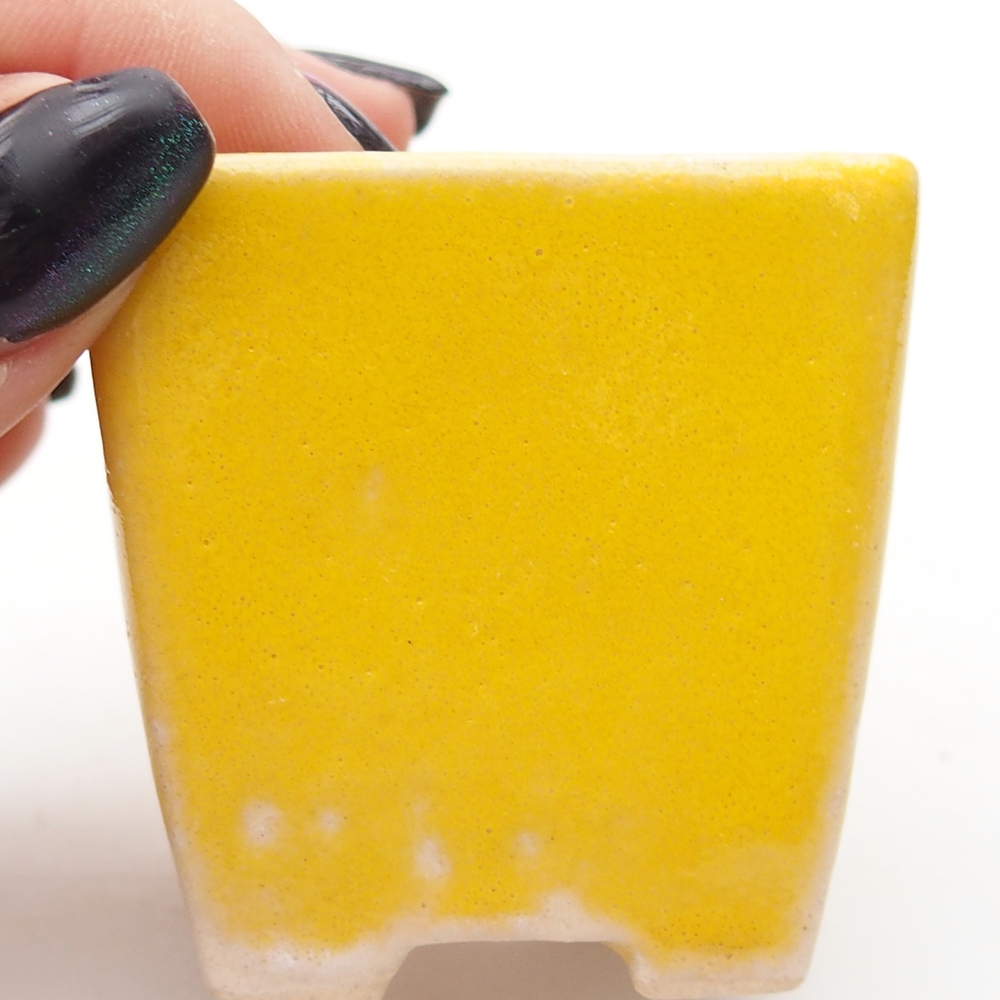 Mini miska do bonsai 5 x 5 x 5 cm, żółta