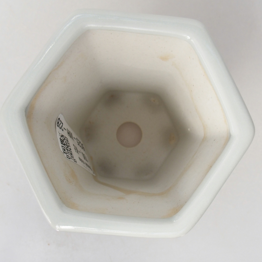 Ceramiczna miska do bonsai 10 x 9 x 9 cm, kolor biały