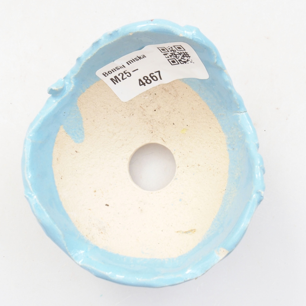 Muszla ceramiczna 7,5 x 7,5x 5 cm, kolor niebieski