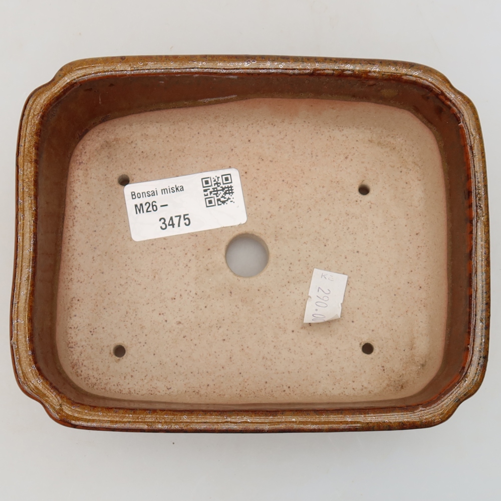 Ceramiczna miska do bonsai 15 x 12,5 x 4,5 cm, kolor brązowy