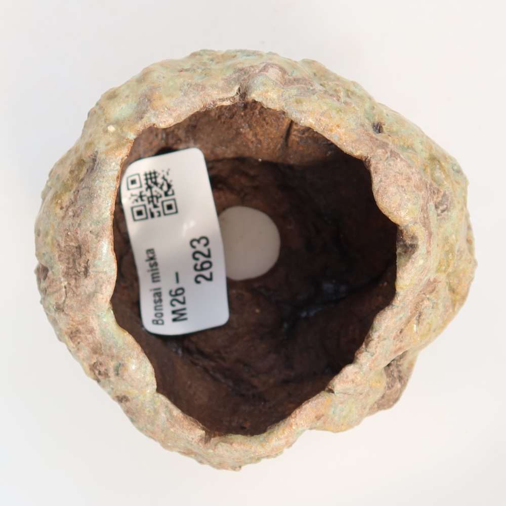 Ceramiczna skorupka  7,5 x 7 x 5 cm, kolor zielony