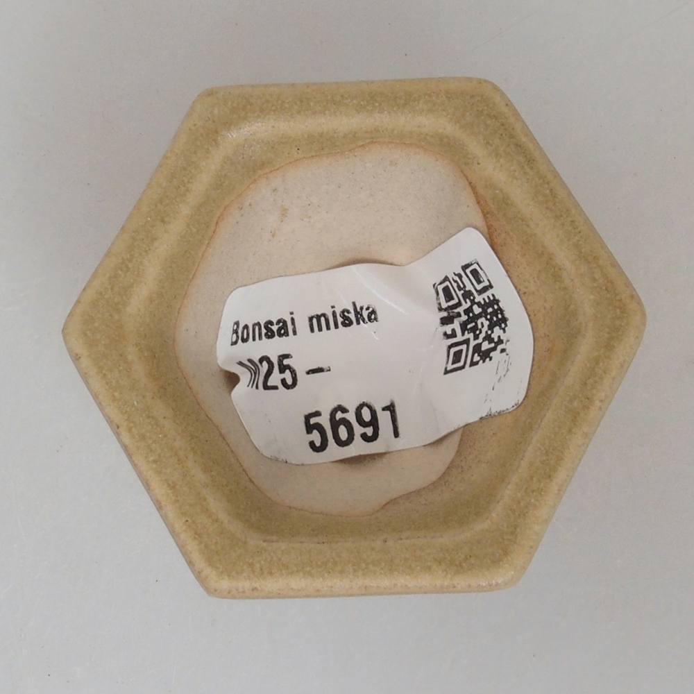 Mini miska bonsai 4,5 x 4,5 x 2,5 cm, kolor brązowy