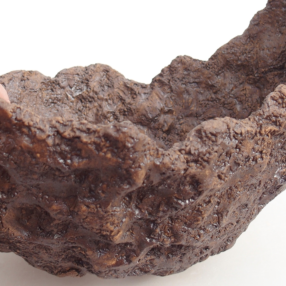 Ceramiczna muszla 20 x 16 x 17 cm, kolor brązowy