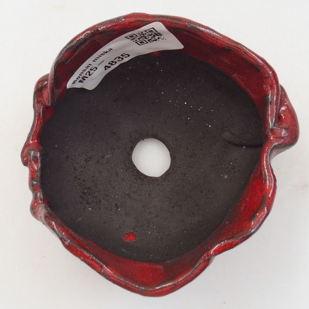 Muszla ceramiczna 8 x 7 x 4,5 cm, kolor czerwony