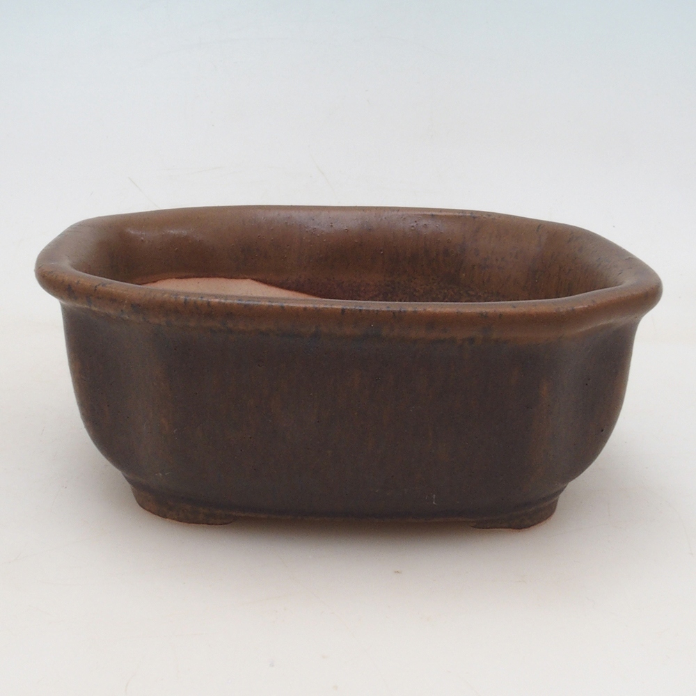 Bonsai bowl + spodek H31 - brązowy