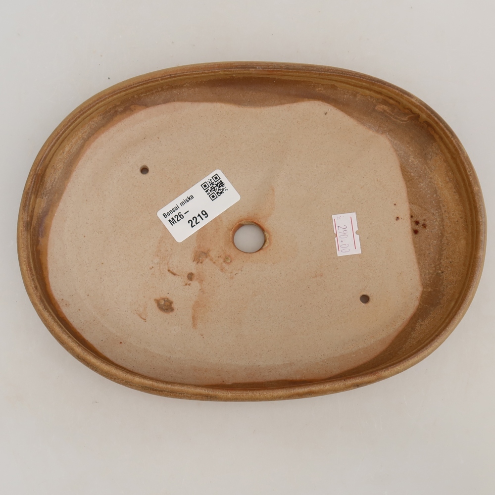 Ceramiczna miska do bonsai 22,5 x 16,5 x 3 cm, kolor beżowy