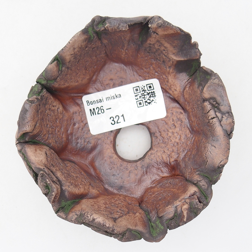 Ceramiczna skorupa 10 x 9 x 5,5 cm, kolor zielony